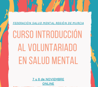 Curso de introducción al Voluntariado en Salud Mental